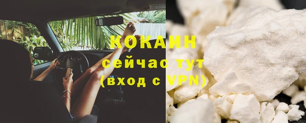 ПСИЛОЦИБИНОВЫЕ ГРИБЫ Лагань