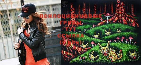 ПСИЛОЦИБИНОВЫЕ ГРИБЫ Лагань