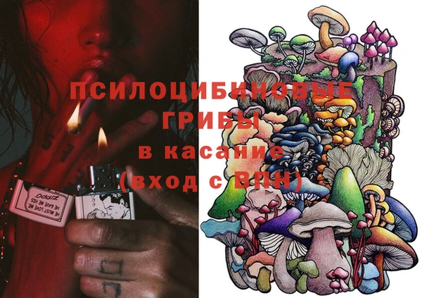 ПСИЛОЦИБИНОВЫЕ ГРИБЫ Лагань