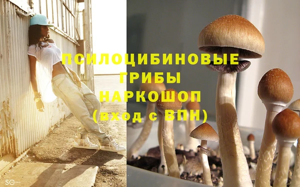 ПСИЛОЦИБИНОВЫЕ ГРИБЫ Лагань
