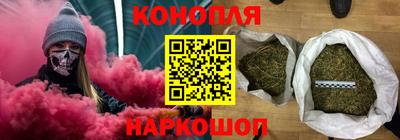 прущие грибы Бийск