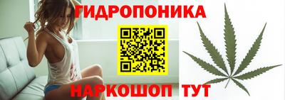 прущие грибы Бийск