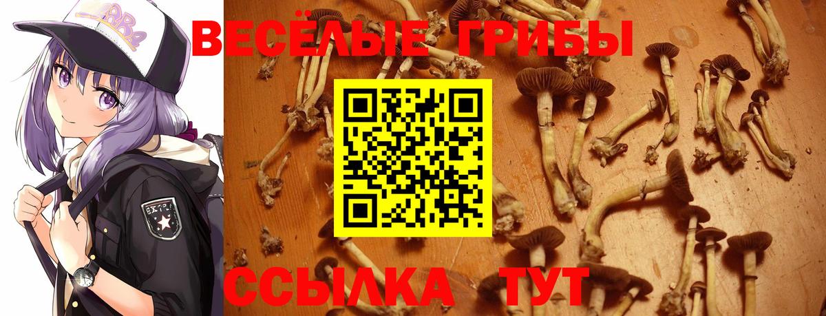 Галлюциногенные грибы Magic Shrooms Новочебоксарск