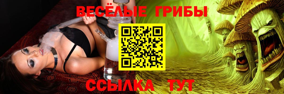 Галлюциногенные грибы Psilocybine cubensis  Псилоцибиновые грибы ЛСД  Новочебоксарск 