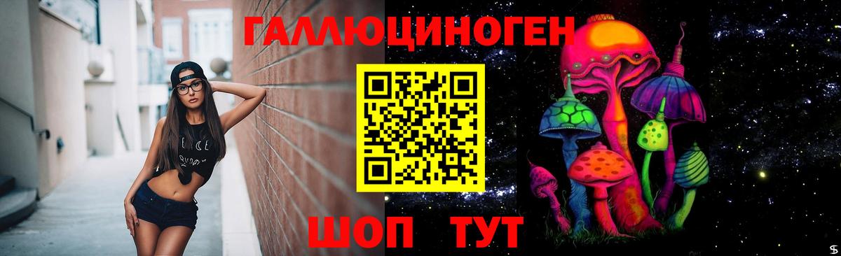 Галлюциногенные грибы Psilocybe  Галлюциногенные грибы ЛСД  Вход с VPN  Новочебоксарск 